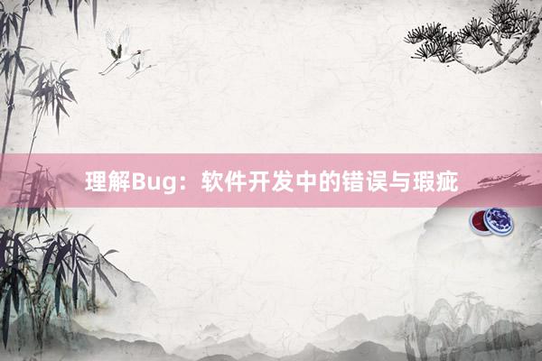 理解Bug：软件开发中的错误与瑕疵